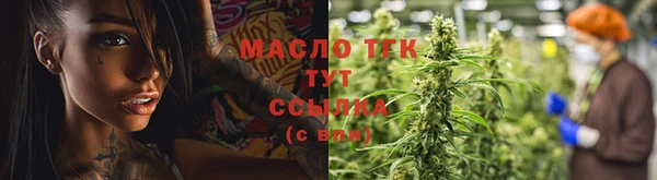 2c-b Бородино