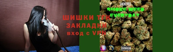 2c-b Бородино