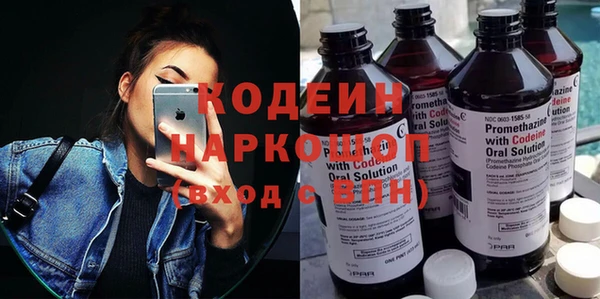 2c-b Бородино