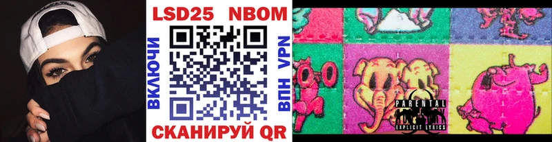 kraken ссылки  продажа наркотиков  Гусев  Наркотические марки 1500мкг 