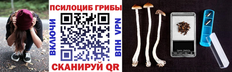 где найти   Гусев  Галлюциногенные грибы прущие грибы 