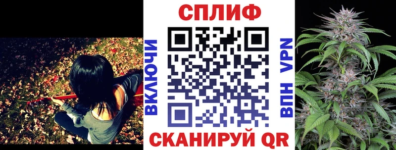 Конопля сатива  что такое   Гусев 